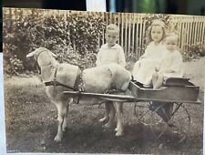 Vintage1920s kids goat for sale  Bloomington