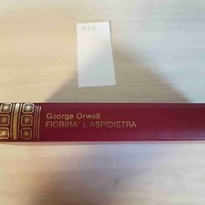 Fiorira aspidistra george usato  Italia