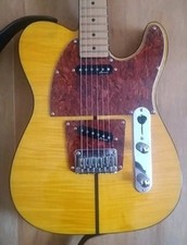 Harley benton deluxe gebraucht kaufen  Ludwigshafen am Rhein