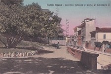 Ascoli piceno corso usato  Roma
