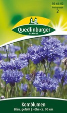 Kornblume blau gefüllt gebraucht kaufen Kornblume blau gefüllt gebraucht kaufen  Pulheim