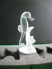 live seahorses for sale live seahorses for sale SHEERNESS
