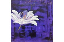 Bellandi luca flower usato  Italia