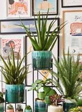 Urban outfitters artificial for sale  STOKE-ON-TRENT