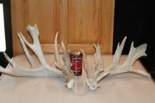 Pair large farm for sale  Brandon
