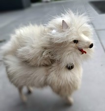 Antiker spitz hund gebraucht kaufen  Duisburg