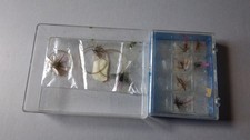 fliegenfischen zubehor gebraucht kaufen fliegenfischen zubehor gebraucht kaufen Dortmund