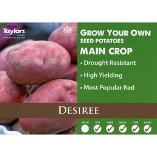 Desiree winter seed for sale  ROSS-ON-WYE