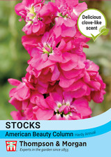 Thompson morgan flower for sale  WREXHAM