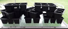 Platic planter pots for sale  RUGELEY