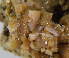 Wulfenite crystals 6.5 for sale  Bisbee