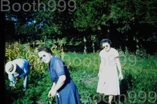 Foto encontrada corrediça Kodachrome 35 mm coleta jardim quintal feminino década de 1950 comprar usado Foto encontrada corrediça Kodachrome 35 mm coleta jardim quintal feminino década de 1950 comprar usado  Enviando para Brazil