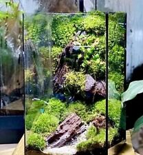 Mossarium kit living for sale  CARNFORTH