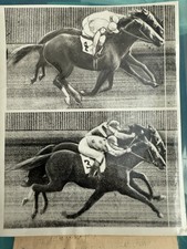 Old horse racing for sale  Richmond