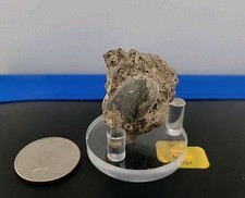 real dinosaur eggs for sale real dinosaur eggs for sale Belleville