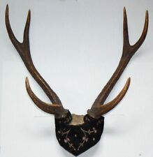 Bois cerf déco d'occasion  Fontaines-sur-Saône