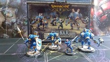 Miniature cygnar battlegroup usato  Vobbia