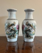 chinese pheasant for sale chinese pheasant for sale KIDLINGTON