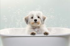 Havanese bathtub waterproof for sale  DUNSTABLE