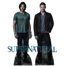 Sam dean winchester for sale  Layton