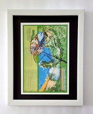 Leroy neiman pebble for sale  Brownsville