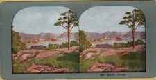 Stereoscopica stereoview photo usato  Oliveto Lario