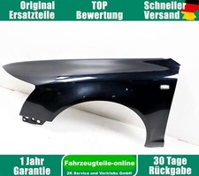 Kotflügel seitenwand vorn gebraucht kaufen  Eilenburg