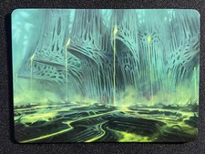 Carte magic full d'occasion  Staffelfelden