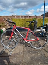 Red islabike luath for sale  HYDE