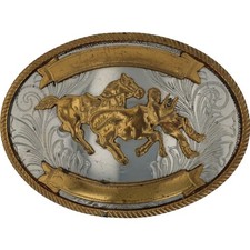 Silver western team for sale  Evanston