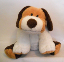 Dog cute 8.5 for sale  Boise