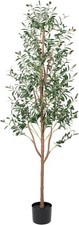 Artificial olive tree for sale  SALFORD