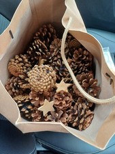 giant pine cones for sale giant pine cones for sale BURY ST. EDMUNDS