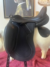 Jorge canaves dressur gebraucht kaufen  Willich