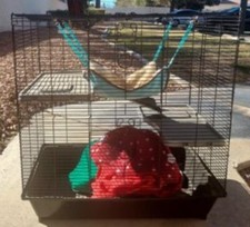 Black cage small for sale  Las Vegas