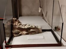 Acquario per tartarughe usato  San Maurizio Canavese