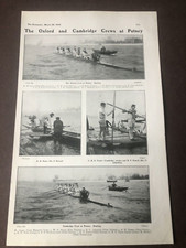 1905 bystander print for sale  FORDINGBRIDGE