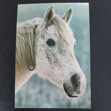 Pferdepostkarte pferd popp gebraucht kaufen  Beeskow