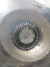 Endler guppy fry for sale  STOKE-ON-TRENT