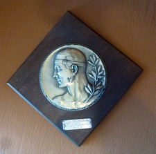 Ehren plakette stil gebraucht kaufen  Baddeckenstedt