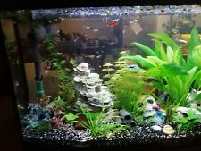 Aquarium panorama gebraucht kaufen  Feuchtwangen