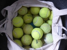 Tennis balls dogs for sale  ALTRINCHAM