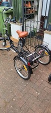Jorvik electric tricycle for sale  NEWARK