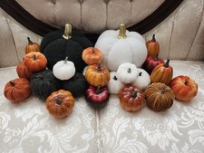Fall decor pumpkins for sale  New Castle