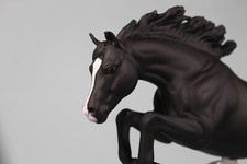 Stunning breyer model for sale Stunning breyer model for sale  DARTFORD
