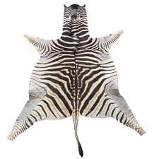 Real zebra skin for sale  Champlain