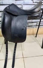 Amerigo classic dressage for sale  LLANGOLLEN