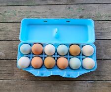Styrofoam bulk egg for sale  Milan