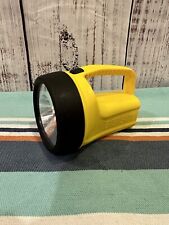 Eveready led floating for sale  Clackamas