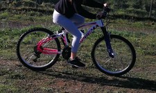 Bicicletta mtb rollmar usato  Italia